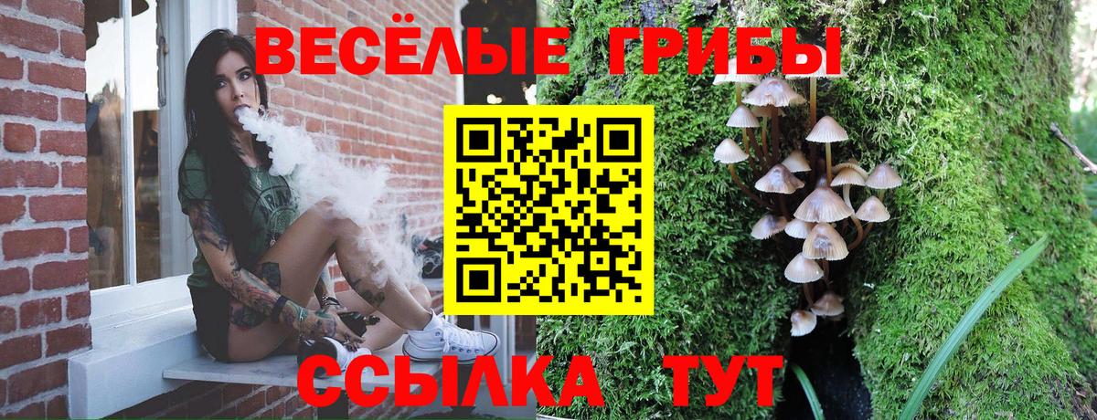 Галлюциногенные грибы Cubensis  Вход с VPN  магазин    Богородицк 