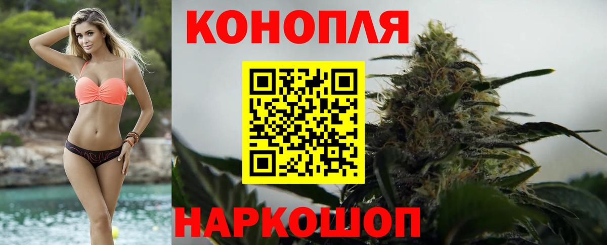 Бошки марихуана конопля Богородицк
